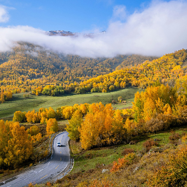 It’s,that,magical,time,of,year,—,when,every,leaf,becomes,a,work,of,art.,🍂,Capture,the,beauty,of,falling,leaves,,golden,trees,,and,autumn,landscapes,in,full,color.,Whether,it’s,a,cozy,park,,a,forest,path,,or,a,single,leaf,in,motion,,show,us,how,you,see,the,poetry,of,autumn,through,your,lens.